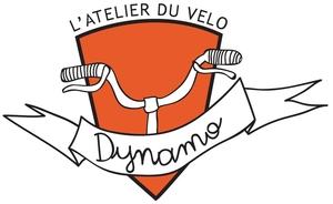 Dynamo logo